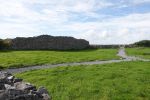 PICTURES/The Burren - Coherconnel Fort & Sheepdog Demonstration/t_DSC04933.JPG